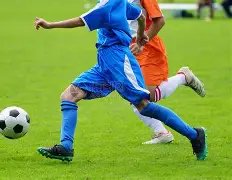 波蘭內戰敗,希望破滅,227皇冠体育,227皇冠,227Crown,227皇冠官网,227皇冠体育官网,227皇冠体育下载,227皇冠APP